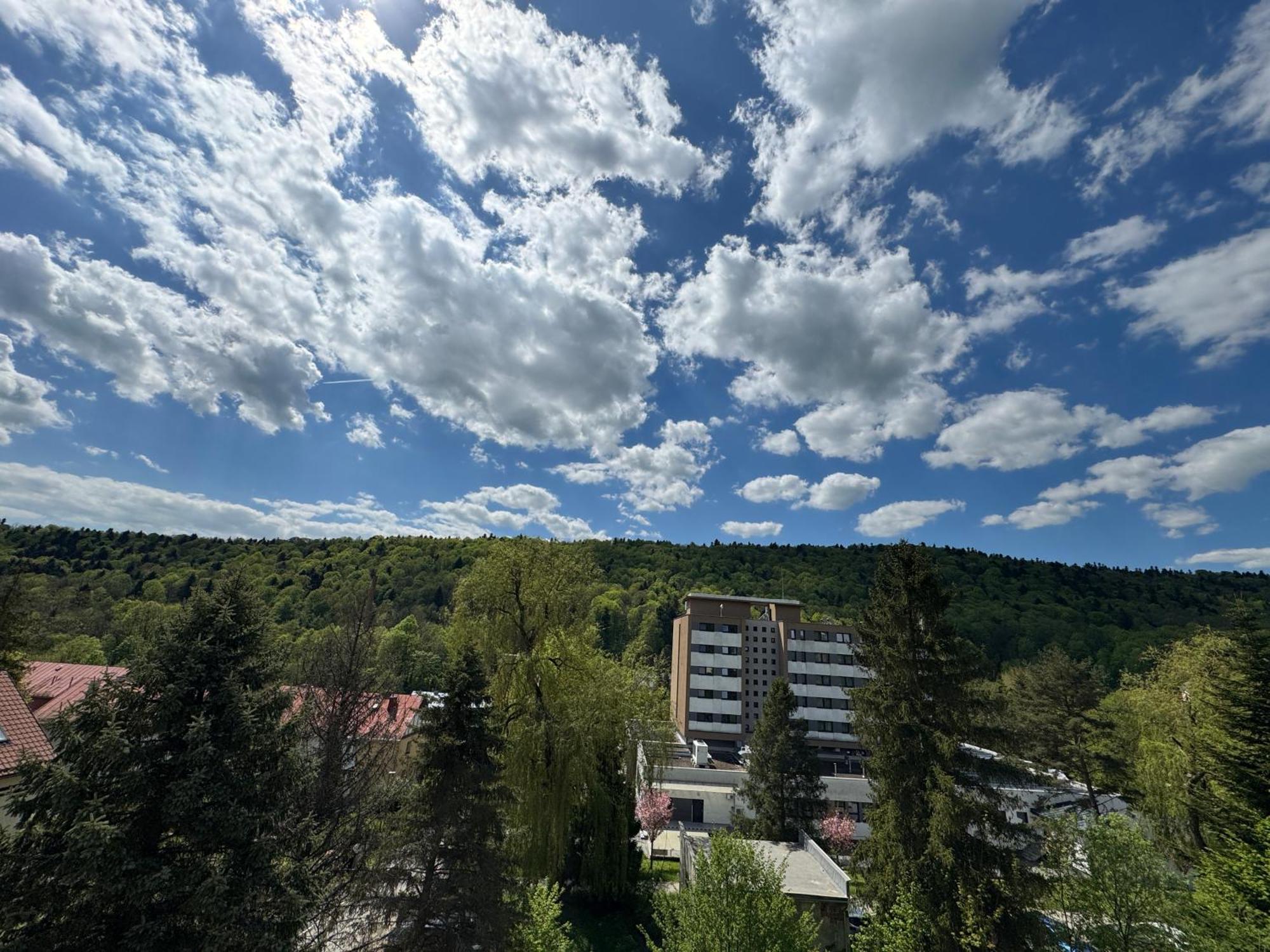 Penzion Zornicka Bardejovské Kúpele Kültér fotó